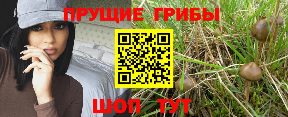 Псилоцибиновые грибы прущие грибы Назрань