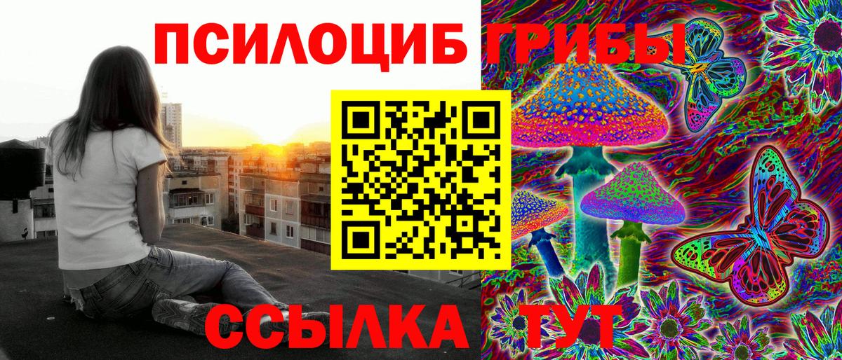 где найти   Галлюциногенные грибы Magic Shrooms  Вход с VPN  Назрань  Галлюциногенные грибы мухоморы 